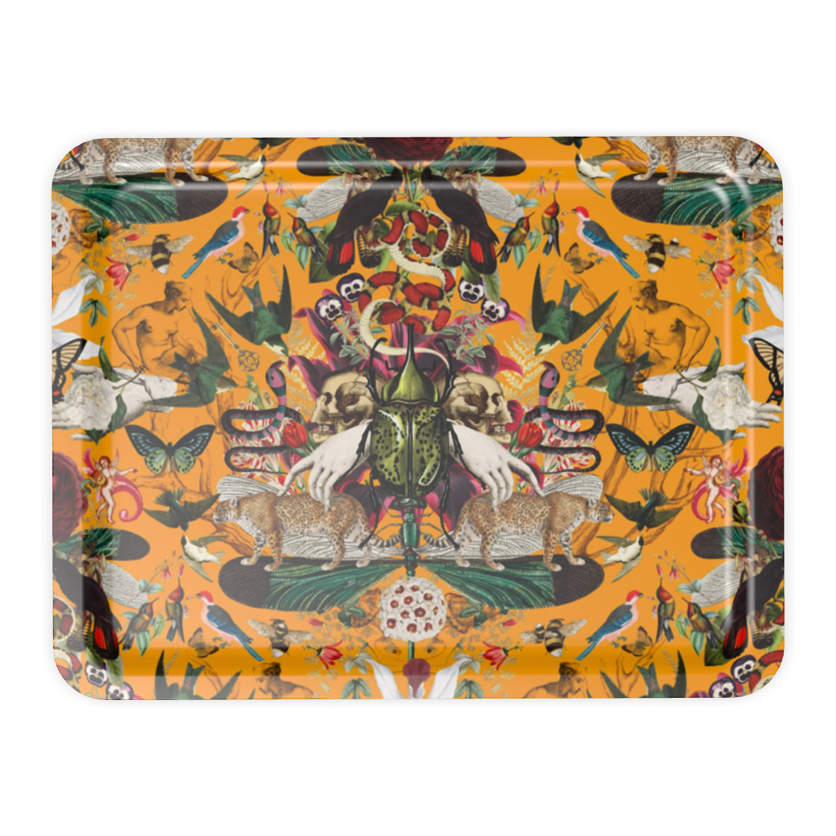 Divine Curio Large Tray